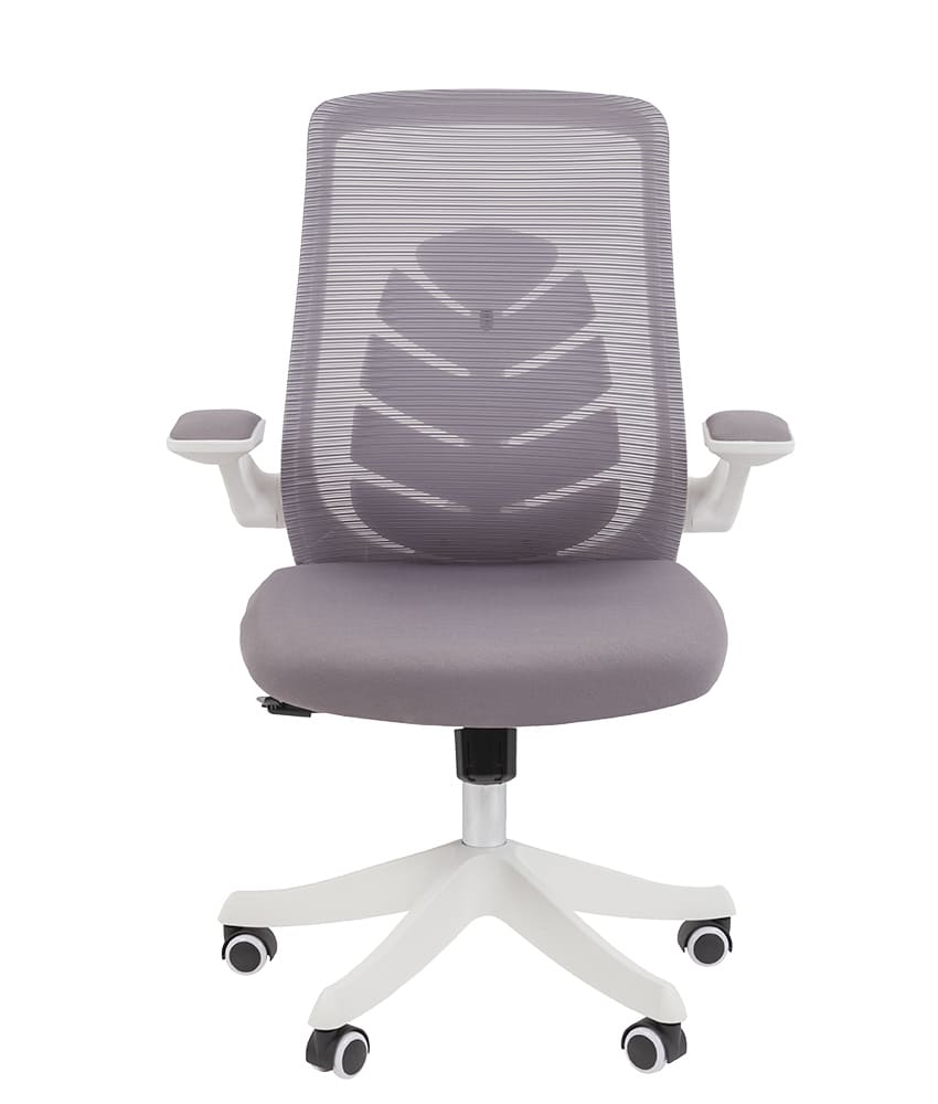 CHAIRMAN_CH565_3