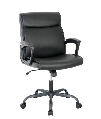 CHAIRMAN_CH303_4