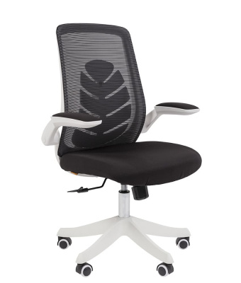 CHAIRMAN_CH565_2