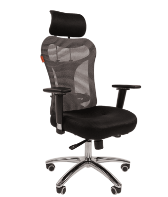 CHAIRMAN_769N_1
