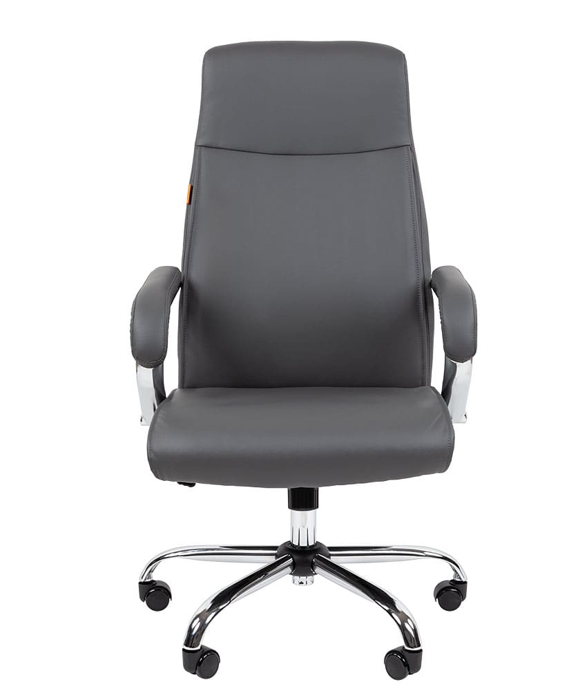 CHAIRMAN_CH425g_2