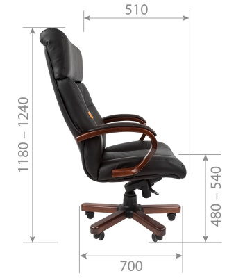 CHAIRMAN_421_s2 — копия