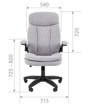 CHAIRMAN_HOME_533_s1