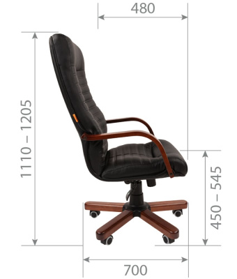 CHAIRMAN_480WDN_s2