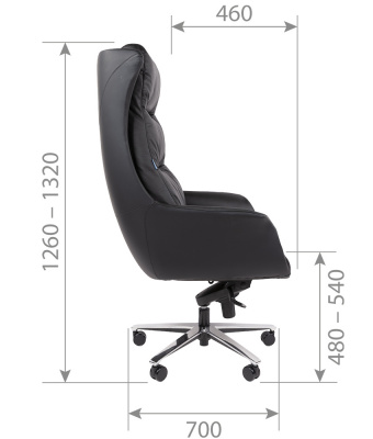 CHAIRMAN_523_s1