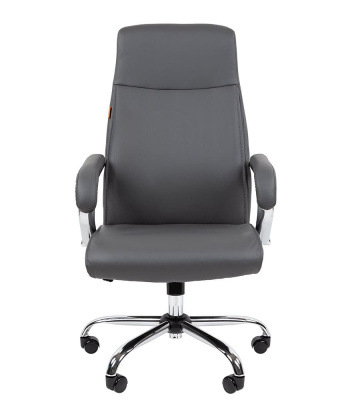 CHAIRMAN_CH425g_2